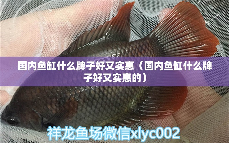 國內(nèi)魚缸什么牌子好又實惠（國內(nèi)魚缸什么牌子好又實惠的）