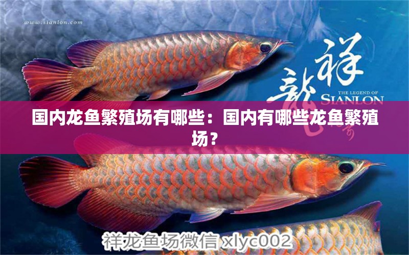 國內(nèi)龍魚繁殖場有哪些：國內(nèi)有哪些龍魚繁殖場？ 龍魚百科 第2張