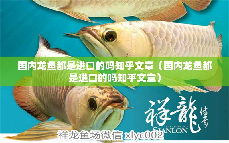 國內(nèi)龍魚都是進(jìn)口的嗎知乎文章（國內(nèi)龍魚都是進(jìn)口的嗎知乎文章）