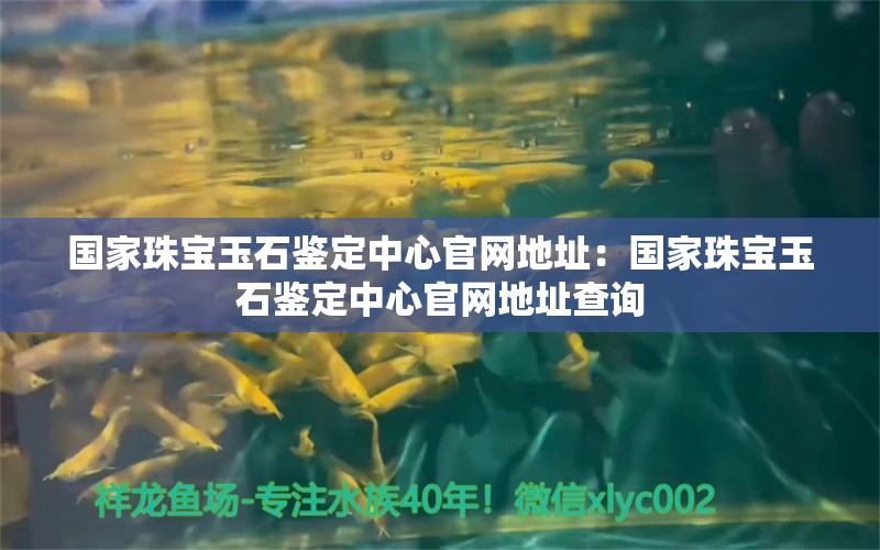 國家珠寶玉石鑒定中心官網(wǎng)地址：國家珠寶玉石鑒定中心官網(wǎng)地址查詢