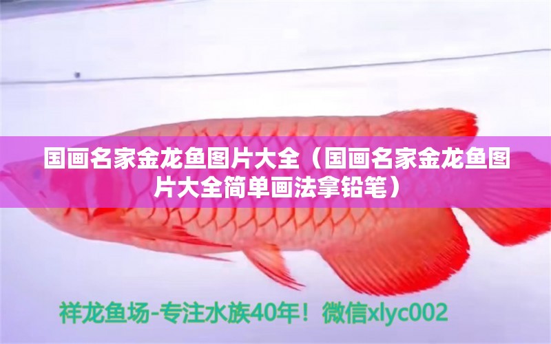 國畫名家金龍魚圖片大全（國畫名家金龍魚圖片大全簡單畫法拿鉛筆）