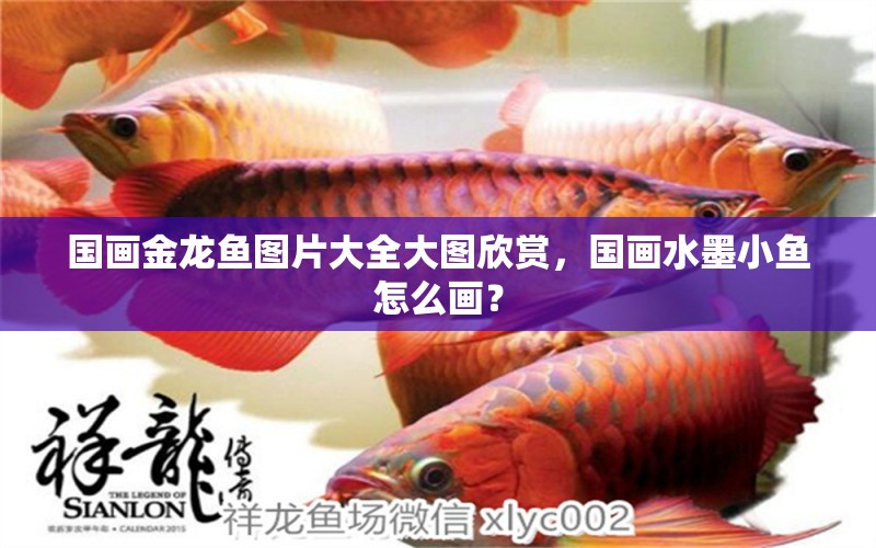 國畫金龍魚圖片大全大圖欣賞，國畫水墨小魚怎么畫？ 水族雜談