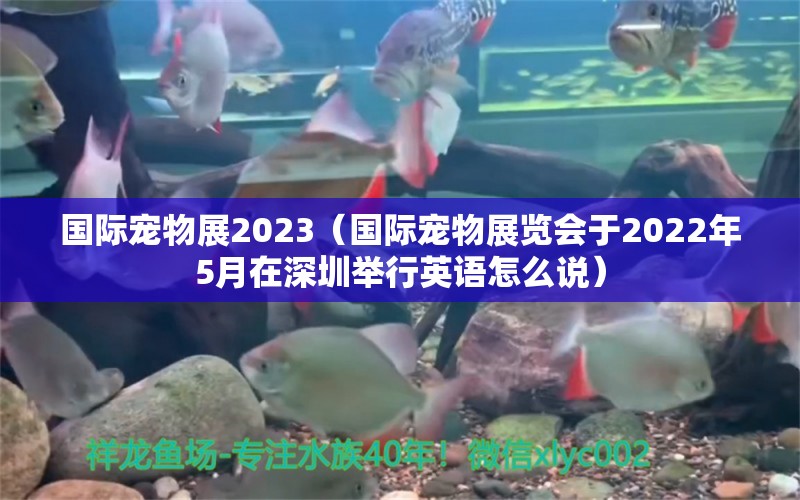 國際寵物展2023（國際寵物展覽會(huì)于2022年5月在深圳舉行英語怎么說） 觀賞魚