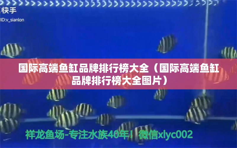 國際高端魚缸品牌排行榜大全（國際高端魚缸品牌排行榜大全圖片）