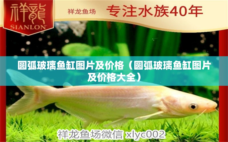 圓弧玻璃魚缸圖片及價格（圓弧玻璃魚缸圖片及價格大全） 祥龍水族醫(yī)院