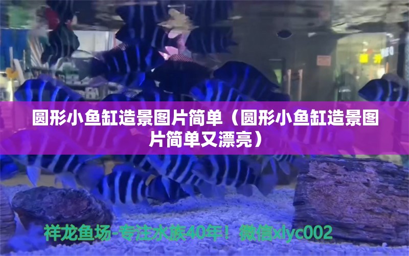 圓形小魚缸造景圖片簡(jiǎn)單（圓形小魚缸造景圖片簡(jiǎn)單又漂亮）