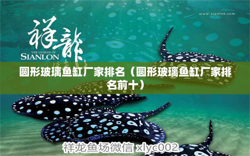 圓形玻璃魚缸廠家排名（圓形玻璃魚缸廠家排名前十） 黑白雙星