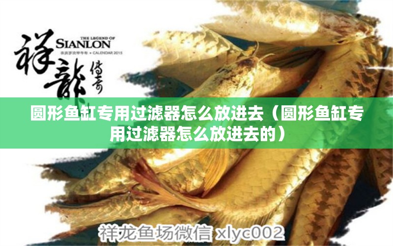 圓形魚缸專用過濾器怎么放進(jìn)去（圓形魚缸專用過濾器怎么放進(jìn)去的） 祥龍水族醫(yī)院