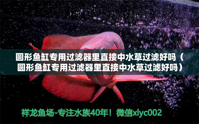 圓形魚缸專用過濾器里直接中水草過濾好嗎（圓形魚缸專用過濾器里直接中水草過濾好嗎）