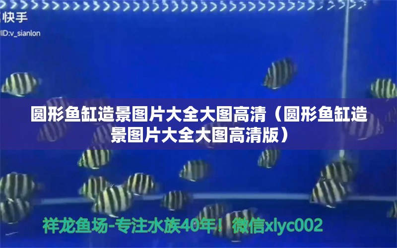 圓形魚缸造景圖片大全大圖高清（圓形魚缸造景圖片大全大圖高清版） 祥龍水族醫(yī)院