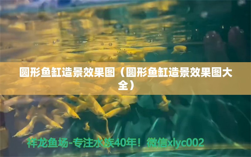 圓形魚缸造景效果圖（圓形魚缸造景效果圖大全）