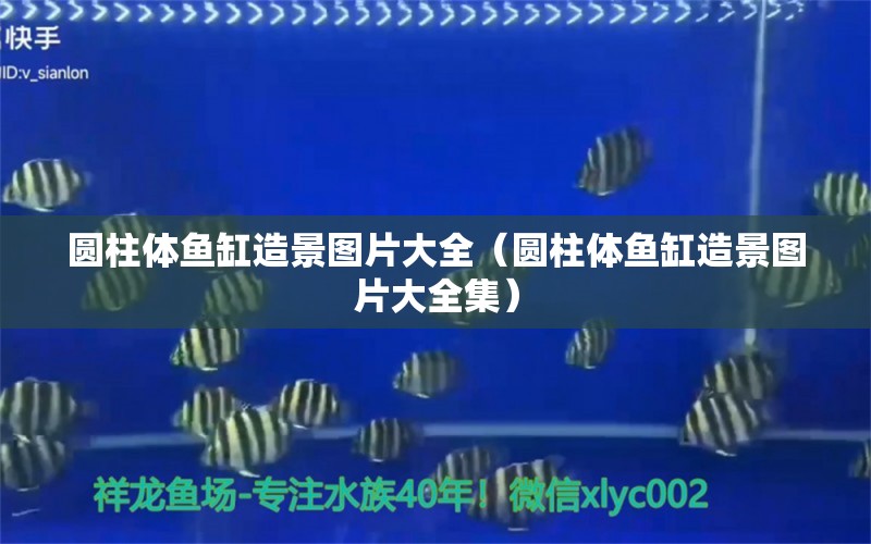 圓柱體魚缸造景圖片大全（圓柱體魚缸造景圖片大全集）