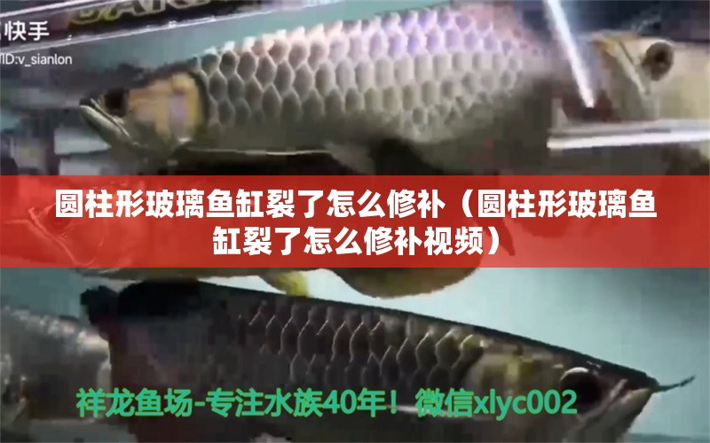 圓柱形玻璃魚缸裂了怎么修補（圓柱形玻璃魚缸裂了怎么修補視頻）