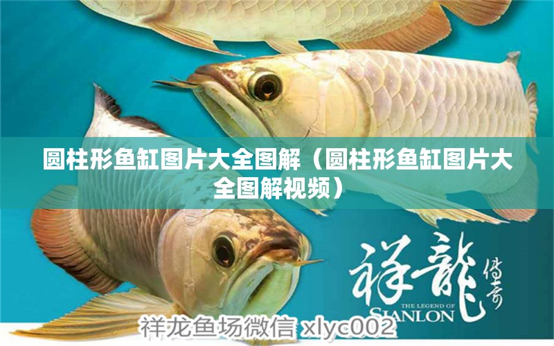 圓柱形魚缸圖片大全圖解（圓柱形魚缸圖片大全圖解視頻） 白子黃化銀龍魚