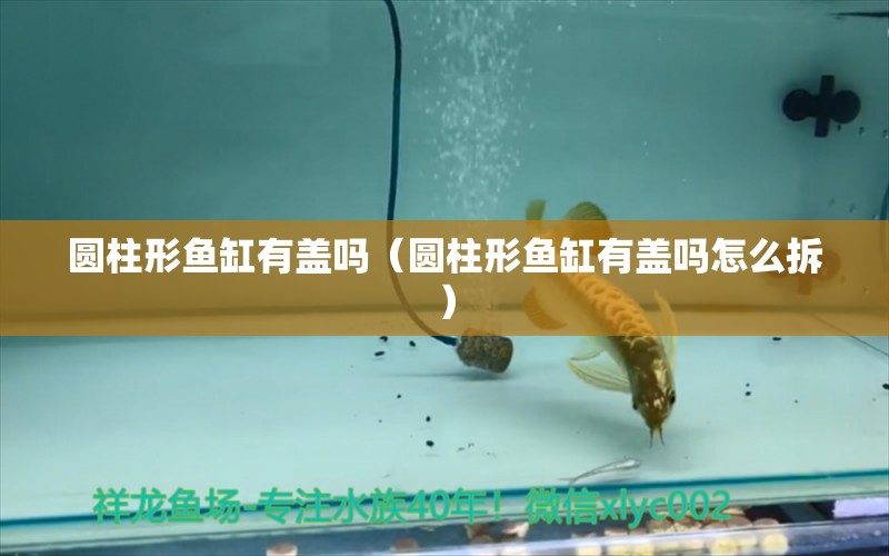 圓柱形魚缸有蓋嗎（圓柱形魚缸有蓋嗎怎么拆） 白子金龍魚