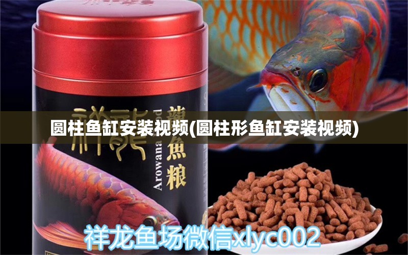 圓柱魚缸安裝視頻(圓柱形魚缸安裝視頻) 黃金眼鏡蛇雷龍魚