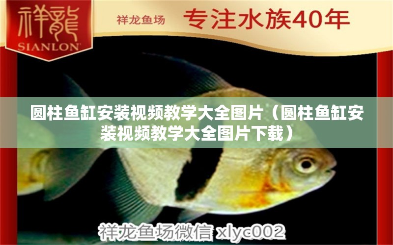 圓柱魚缸安裝視頻教學大全圖片（圓柱魚缸安裝視頻教學大全圖片下載）