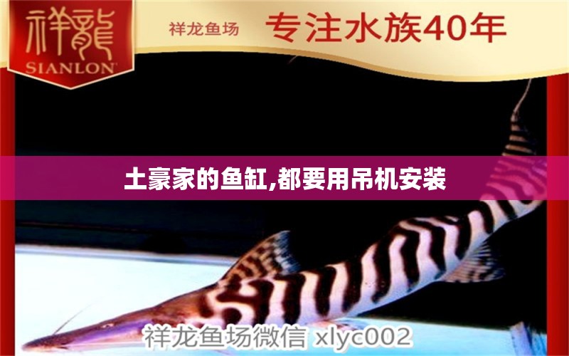 土豪家的魚缸,都要用吊機安裝