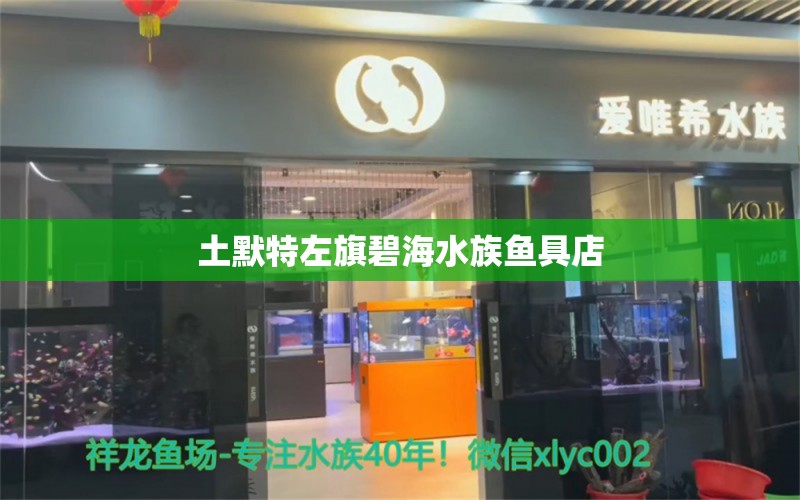 土默特左旗碧海水族魚具店