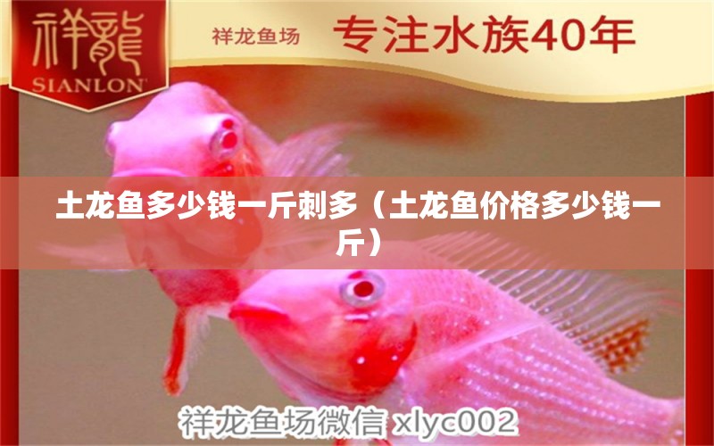 土龍魚多少錢一斤刺多（土龍魚價(jià)格多少錢一斤） 廣州龍魚批發(fā)市場(chǎng)