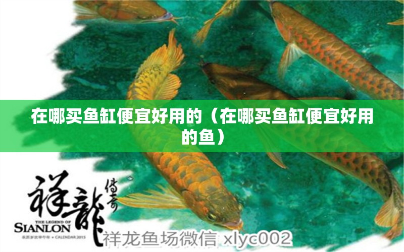 在哪買魚缸便宜好用的（在哪買魚缸便宜好用的魚） 養(yǎng)魚知識