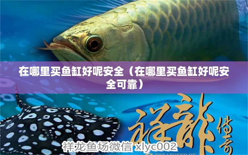 在哪里買魚缸好呢安全（在哪里買魚缸好呢安全可靠）