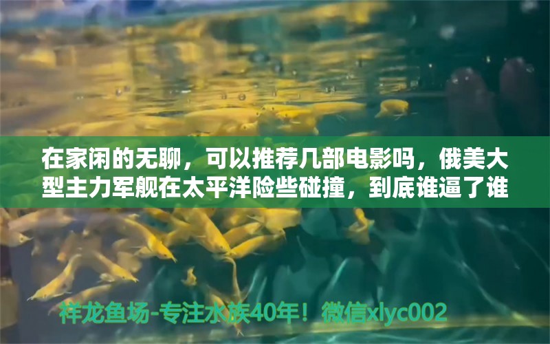 在家閑的無聊，可以推薦幾部電影嗎，俄美大型主力軍艦在太平洋險(xiǎn)些碰撞，到底誰逼了誰，誰又在較量中占便宜了