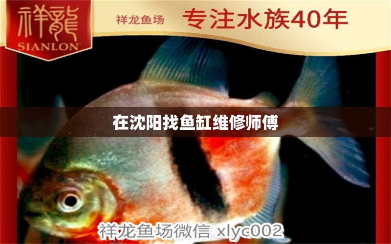 在沈陽(yáng)找魚(yú)缸維修師傅 其他品牌魚(yú)缸