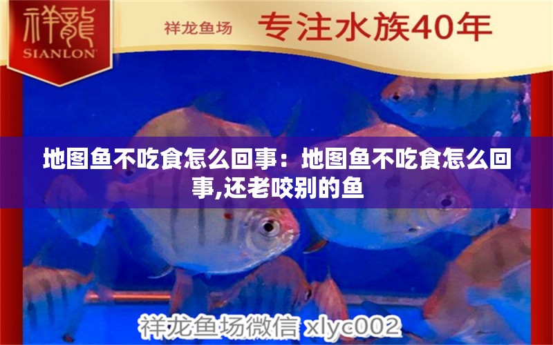 地圖魚不吃食怎么回事：地圖魚不吃食怎么回事,還老咬別的魚