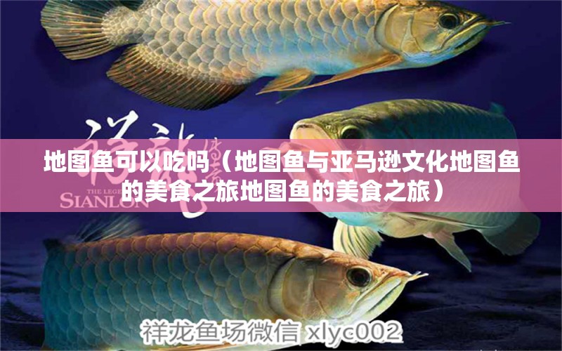 地圖魚可以吃嗎（地圖魚與亞馬遜文化地圖魚的美食之旅地圖魚的美食之旅）