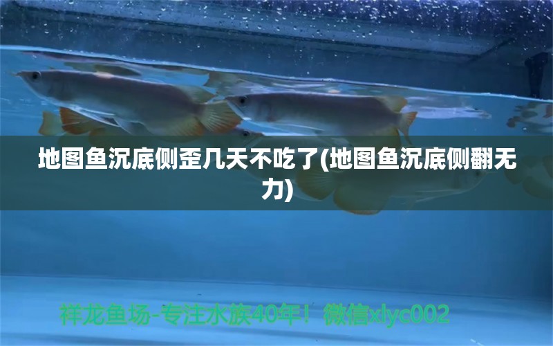 地圖魚沉底側(cè)歪幾天不吃了(地圖魚沉底側(cè)翻無力) 觀賞魚 第1張