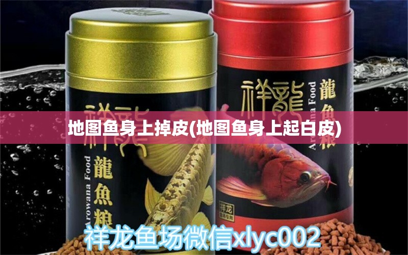 地圖魚身上掉皮(地圖魚身上起白皮) 雙線側(cè)魚