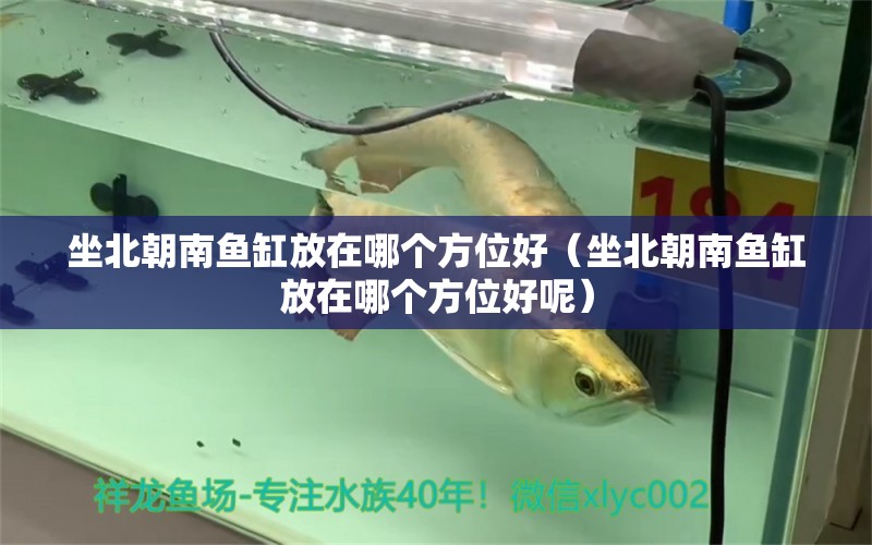 坐北朝南魚(yú)缸放在哪個(gè)方位好（坐北朝南魚(yú)缸放在哪個(gè)方位好呢）