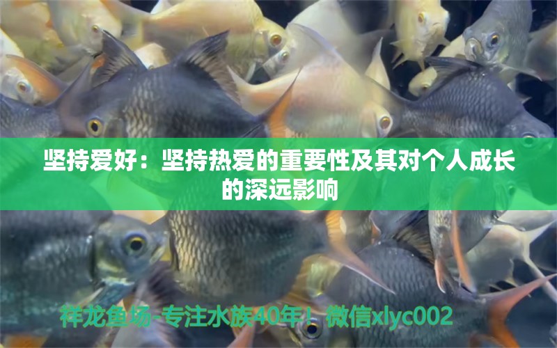 堅持愛好：堅持熱愛的重要性及其對個人成長的深遠影響 觀賞魚論壇 第5張