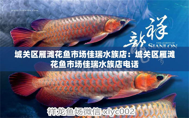 城關(guān)區(qū)雁灘花魚市場佳瑞水族店：城關(guān)區(qū)雁灘花魚市場佳瑞水族店電話