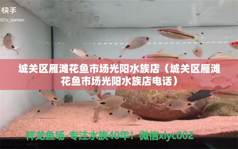 城關(guān)區(qū)雁灘花魚市場光陽水族店（城關(guān)區(qū)雁灘花魚市場光陽水族店電話）