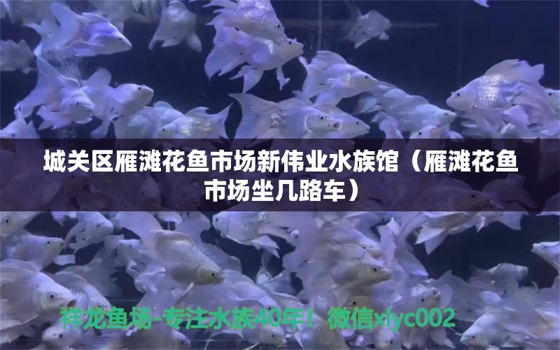 城關(guān)區(qū)雁灘花魚市場新偉業(yè)水族館（雁灘花魚市場坐幾路車）