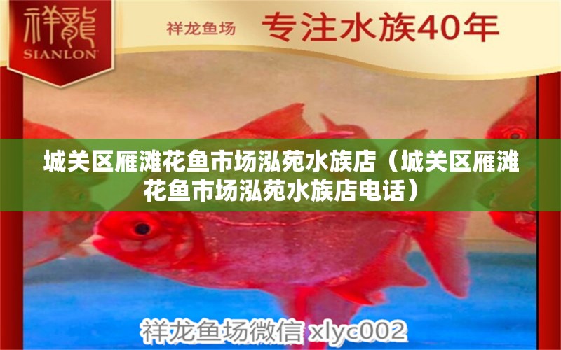 城關(guān)區(qū)雁灘花魚市場泓苑水族店（城關(guān)區(qū)雁灘花魚市場泓苑水族店電話）