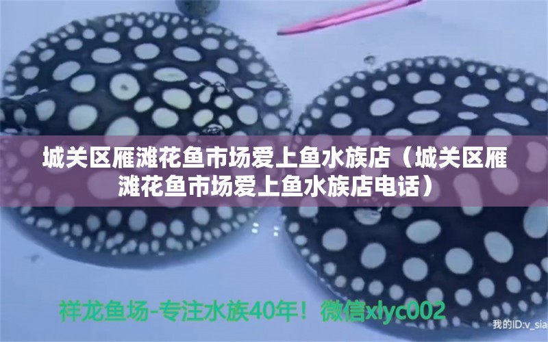 城關(guān)區(qū)雁灘花魚市場愛上魚水族店（城關(guān)區(qū)雁灘花魚市場愛上魚水族店電話）