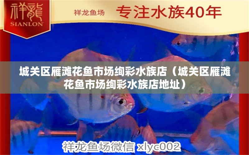 城關(guān)區(qū)雁灘花魚市場絢彩水族店（城關(guān)區(qū)雁灘花魚市場絢彩水族店地址）