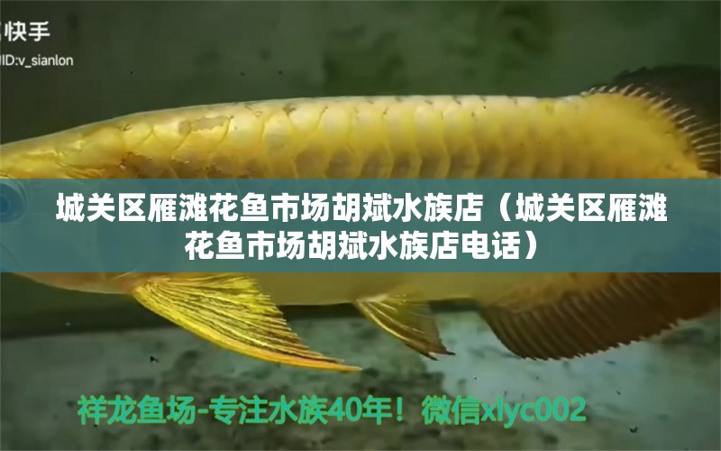 城關(guān)區(qū)雁灘花魚市場胡斌水族店（城關(guān)區(qū)雁灘花魚市場胡斌水族店電話）