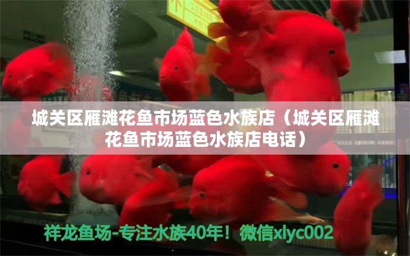 城關(guān)區(qū)雁灘花魚市場藍(lán)色水族店（城關(guān)區(qū)雁灘花魚市場藍(lán)色水族店電話）