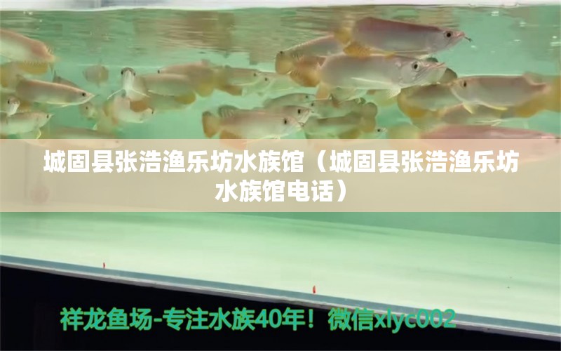 城固縣張浩漁樂坊水族館（城固縣張浩漁樂坊水族館電話）