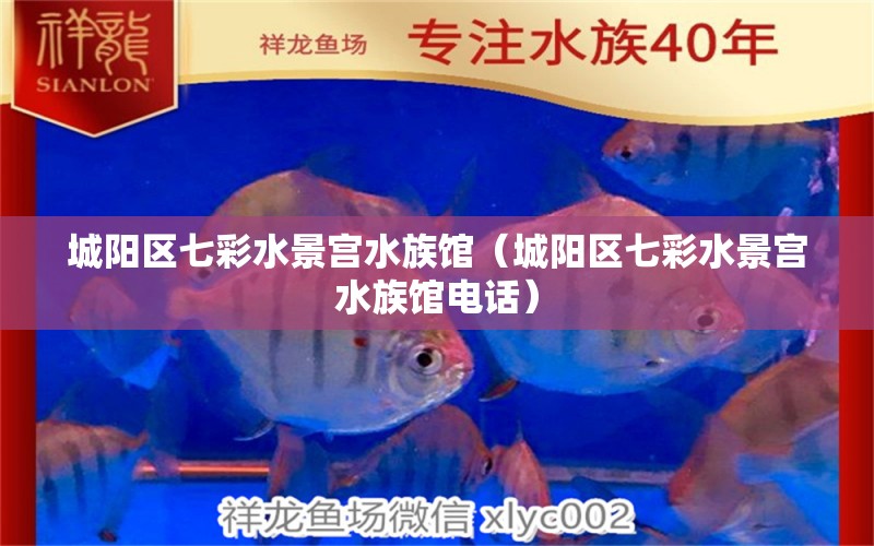 城陽(yáng)區(qū)七彩水景宮水族館（城陽(yáng)區(qū)七彩水景宮水族館電話）