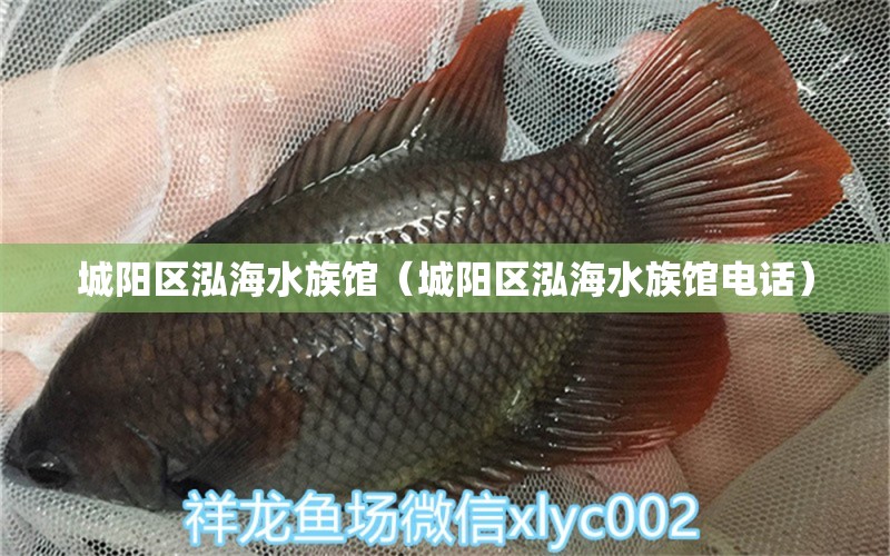 城陽區(qū)泓海水族館（城陽區(qū)泓海水族館電話）