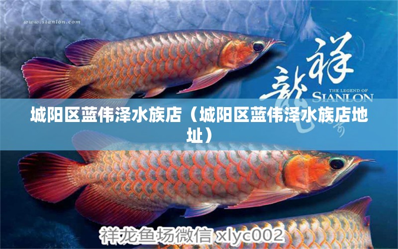 城陽區(qū)藍(lán)偉澤水族店（城陽區(qū)藍(lán)偉澤水族店地址） 全國水族館企業(yè)名錄