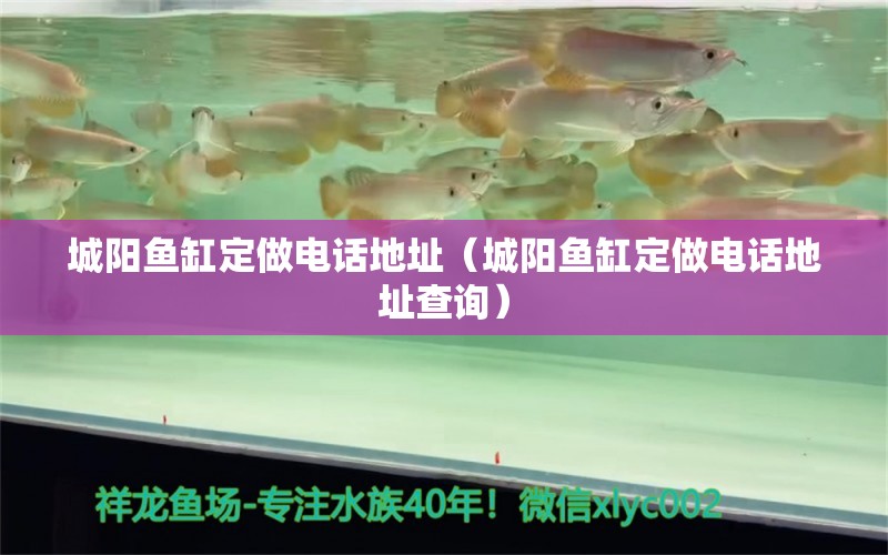 城陽(yáng)魚缸定做電話地址（城陽(yáng)魚缸定做電話地址查詢）