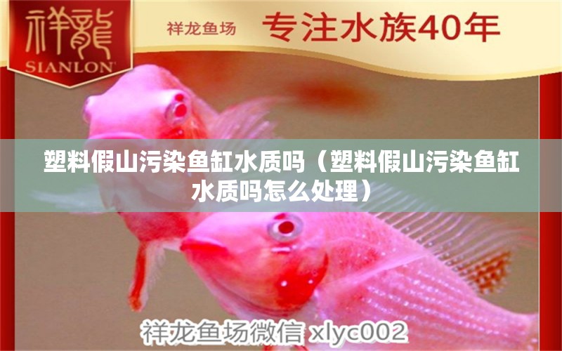 塑料假山污染魚缸水質(zhì)嗎（塑料假山污染魚缸水質(zhì)嗎怎么處理） 觀賞魚市場（混養(yǎng)魚）