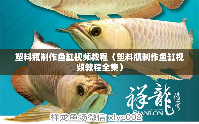 塑料瓶制作魚缸視頻教程（塑料瓶制作魚缸視頻教程全集）