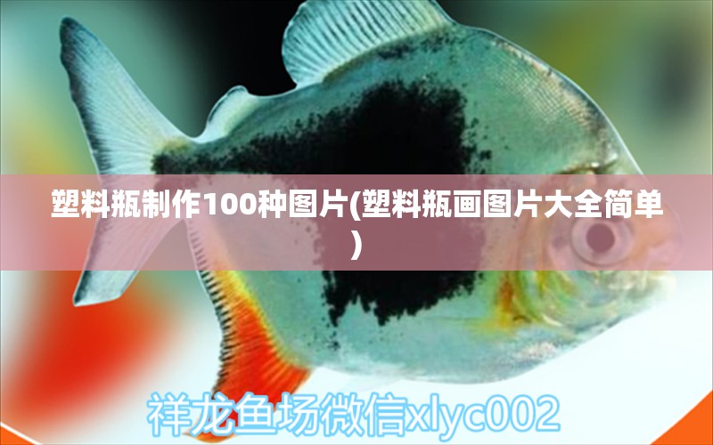 塑料瓶制作100種圖片(塑料瓶畫(huà)圖片大全簡(jiǎn)單) 泰國(guó)虎魚(yú)